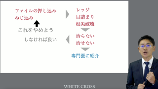 根管治療、そこ変えてみませんか？ | WHITE CROSS